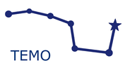 TEMO